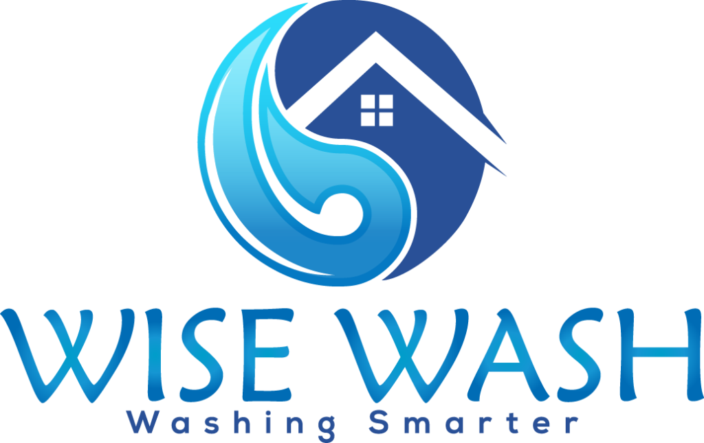 Wise Wash Logo